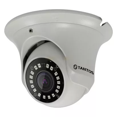 Купольная IP-камера Tantos TSi-Ee25FP (2.8) фото 1