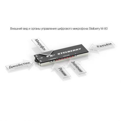 Микрофон Stelberry M-80 фото 2