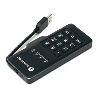 Мини-диск GuardDo SSD 1 ТБ фото 1